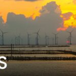 Lịch trình du lịch Bạc Liêu 2 ngày 1 đêm khám phá miền Tây