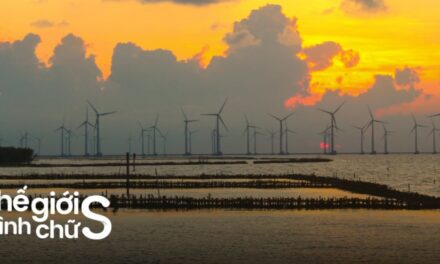 Lịch trình du lịch Bạc Liêu 2 ngày 1 đêm khám phá miền Tây