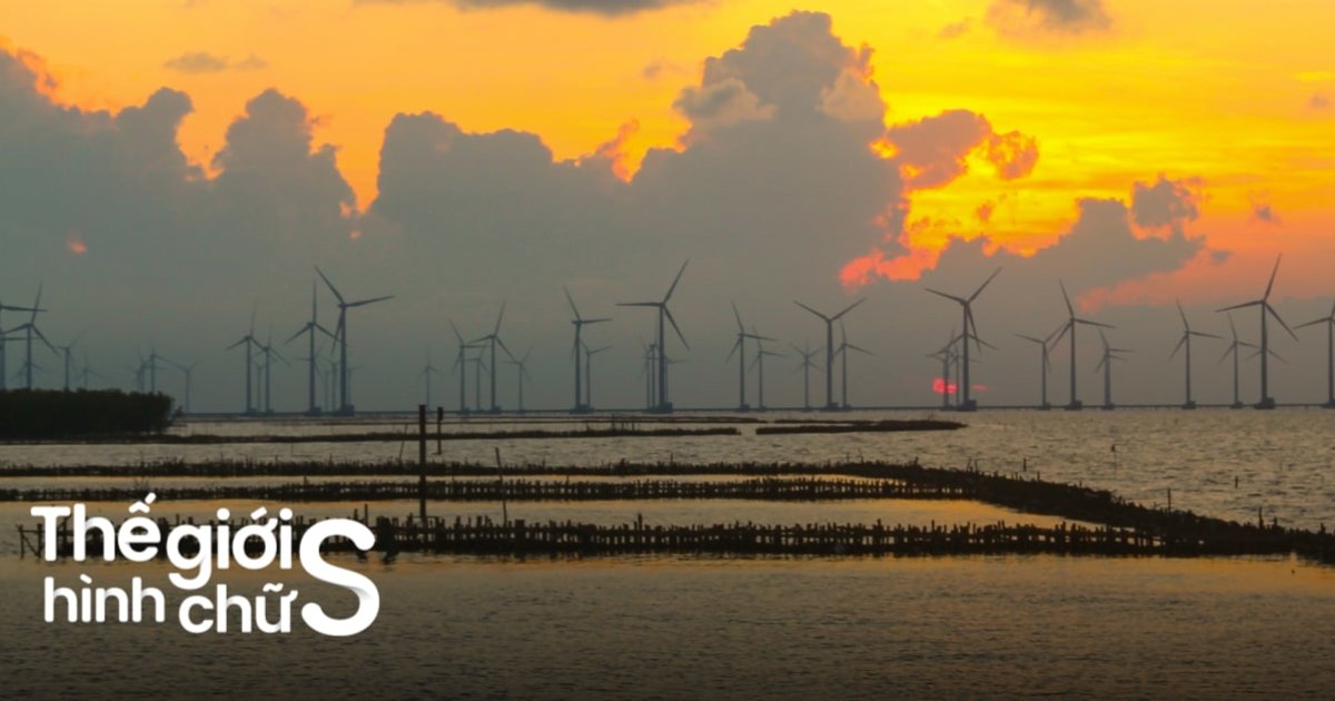 Lịch trình du lịch Bạc Liêu 2 ngày 1 đêm khám phá miền Tây