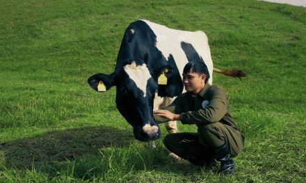 Mộc Châu Creamery: Vị ngon sữa di sản từ “nghệ nhân”