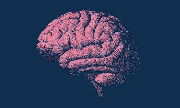 Chế độ ăn làm chậm lão hóa não: Bí quyết trẻ lâu hơn