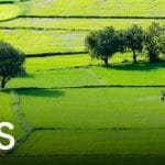 Địa điểm du lịch An Giang: Những nơi phải đến khi tự túc