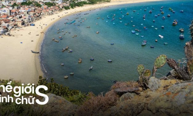Làng chài Nhơn Lý: Đắm mình vào nhịp sống chân thực miền biển