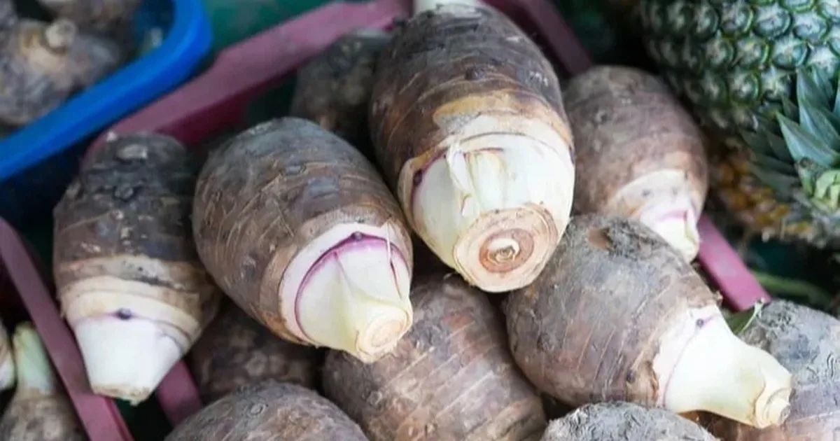 cu-nguoi-viet-nau-canh-bi-quyet-truong-tho-cua-nguoi-nhat