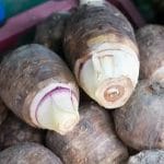Củ người Việt nấu canh: Bí quyết trường thọ của người Nhật