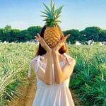 Quả giàu vitamin C tốt cho tim mạch, tiêu hóa