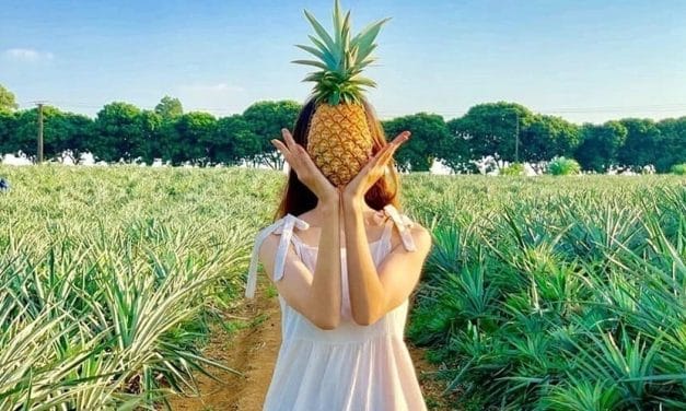 Quả giàu vitamin C tốt cho tim mạch, tiêu hóa