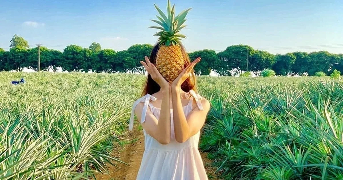 Quả giàu vitamin C tốt cho tim mạch, tiêu hóa