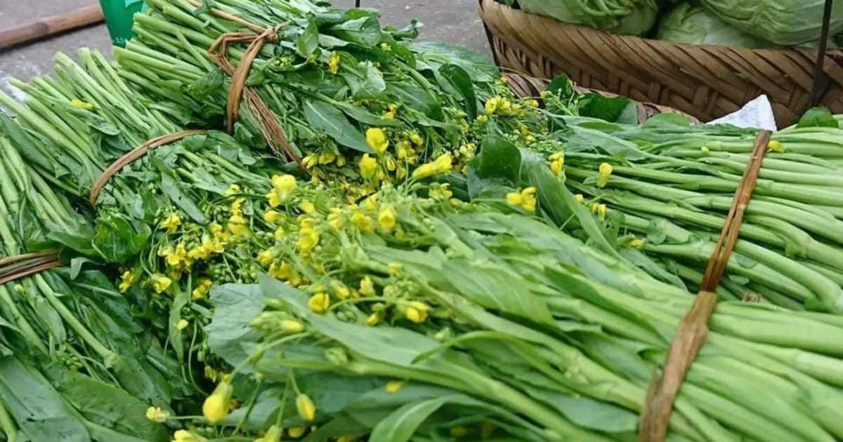rau-trong-viet-nam-bau-vat-dinh-duong-duoc-the-gioi-vinh-danh