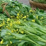 Rau trồng Việt Nam: Báu vật dinh dưỡng được thế giới vinh danh