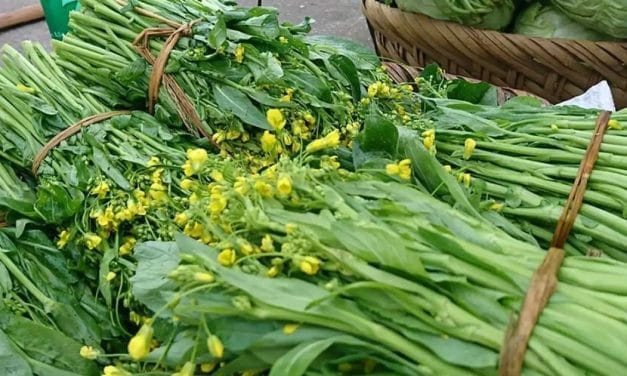 Rau trồng Việt Nam: Báu vật dinh dưỡng được thế giới vinh danh