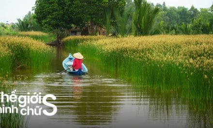 Tour Miền Tây 1 ngày từ Sài Gòn: Hướng dẫn đi tự túc trọn vẹn